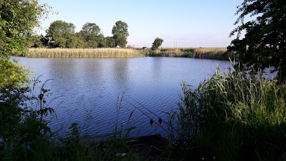 Brick Ponds