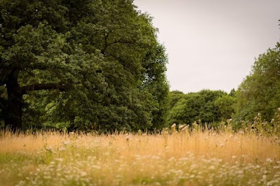 Kingsway Local Nature Reserve